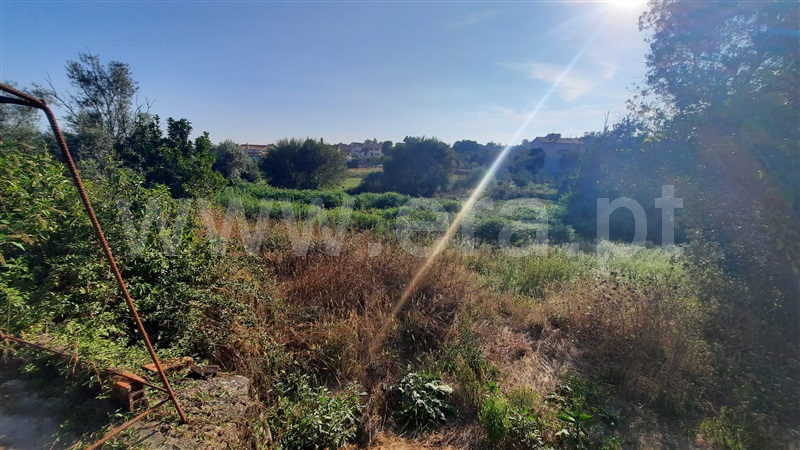 Terreno  Santa Comba Dão, Treixedo e Nagozela - 1428026 - 17