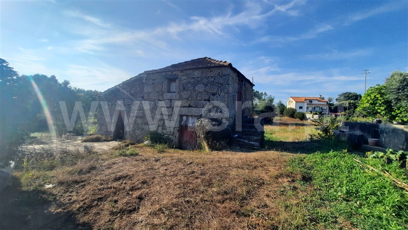 Terreno  Santa Comba Dão, Treixedo e Nagozela - 1428026 - 18