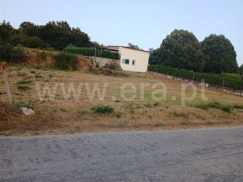 Terreno / Santa Comba Dão, Treixedo e Nagozela