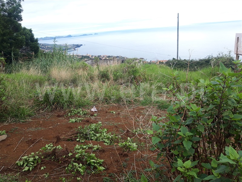Terreno / Santa Cruz, Gaula