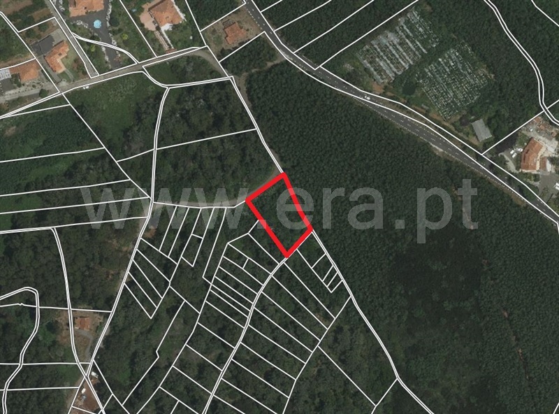 Terreno / Santa Cruz, Santa Cruz