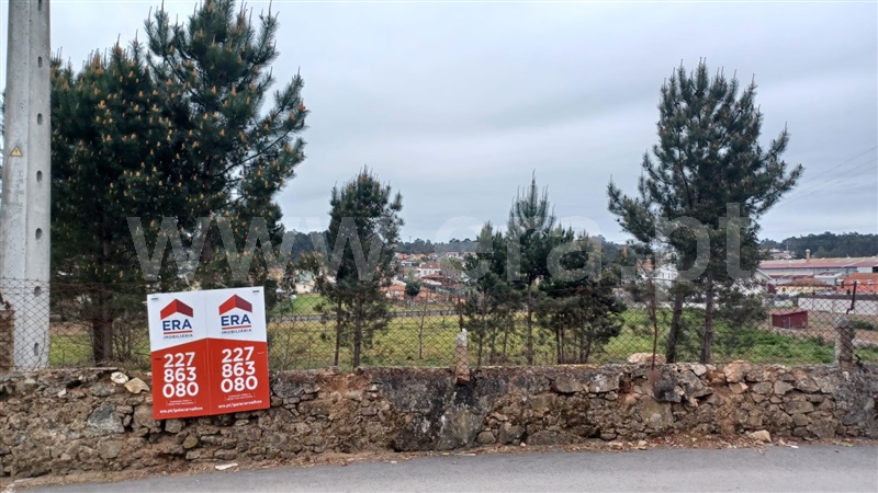 Terreno / Santa Maria da Feira, Argoncilhe