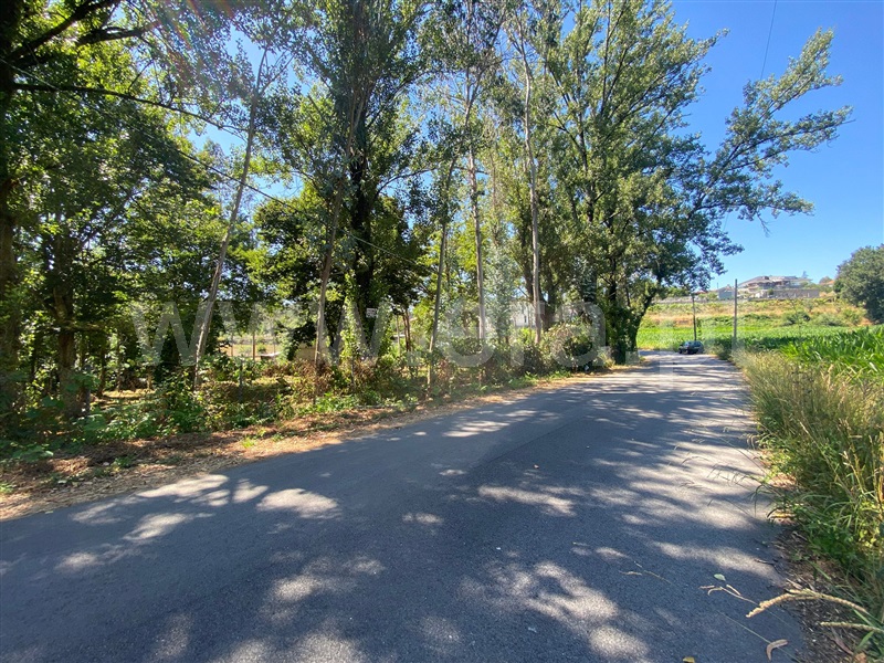 Terreno  Santa Maria da Feira, Canedo, Vale e Vila Maior - 1491369 - 3