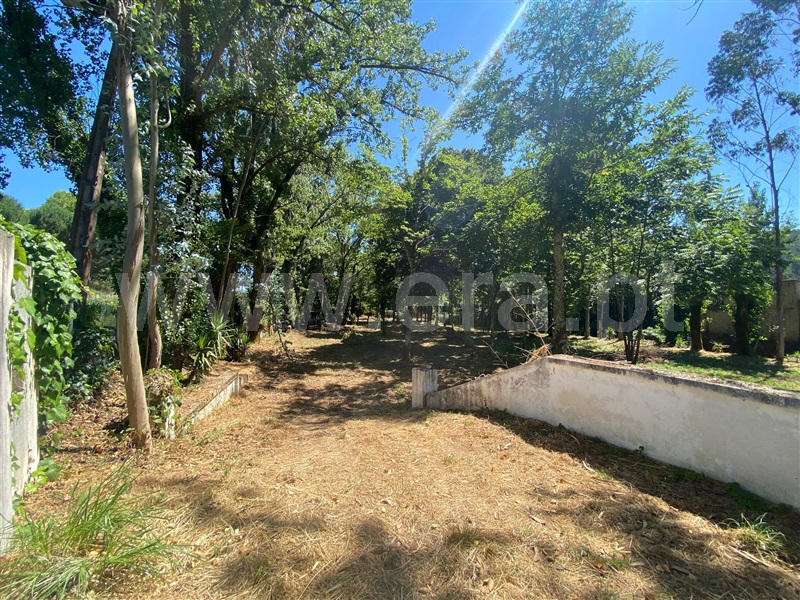Terreno  Santa Maria da Feira, Canedo, Vale e Vila Maior - 1491369 - 5