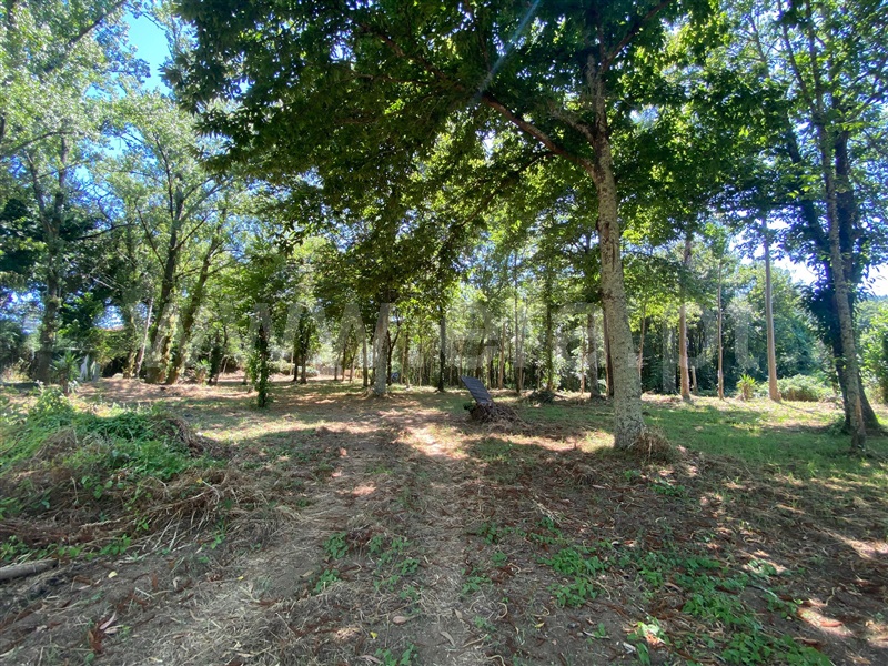Terreno  Santa Maria da Feira, Canedo, Vale e Vila Maior - 1491369 - 7