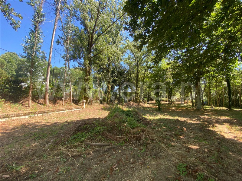 Terreno  Santa Maria da Feira, Canedo, Vale e Vila Maior - 1491369 - 8