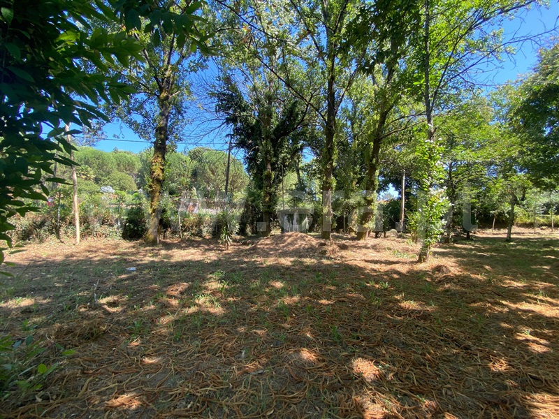 Terreno  Santa Maria da Feira, Canedo, Vale e Vila Maior - 1491369 - 9