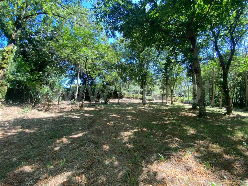 Terreno  Santa Maria da Feira, Canedo, Vale e Vila Maior - 1491369 - 10