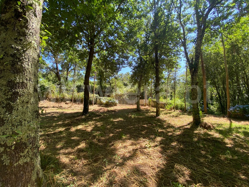 Terreno  Santa Maria da Feira, Canedo, Vale e Vila Maior - 1491369 - 11
