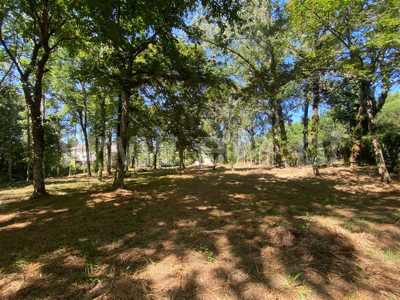 Terreno  Santa Maria da Feira, Canedo, Vale e Vila Maior - 1491369 - 12