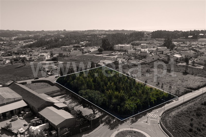 Terreno / Santa Maria da Feira, Fiães