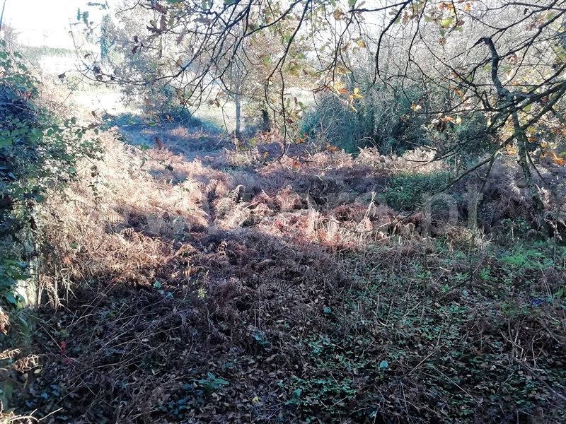 Terreno / Santa Maria da Feira, Fiães