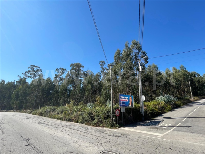 Terreno / Santa Maria da Feira, Lobão, Gião, Louredo e Guisande