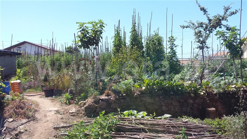 Terreno  Santa Maria da Feira, Lourosa - 677573 - 3