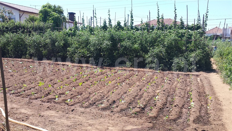 Terreno  Santa Maria da Feira, Lourosa - 677573 - 2