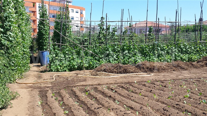 Terreno  Santa Maria da Feira, Lourosa - 677573 - 4