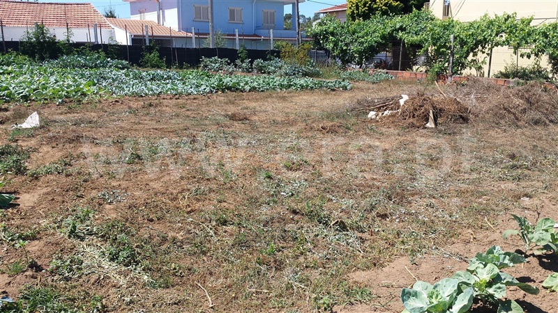 Terreno  Santa Maria da Feira, Lourosa - 677573 - 5