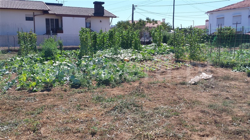 Terreno  Santa Maria da Feira, Lourosa - 677573 - 6