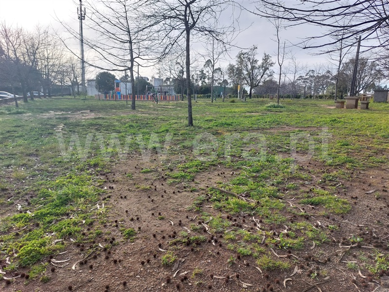 Terreno  Santa Maria da Feira, Mozelos - 1392799 - 14