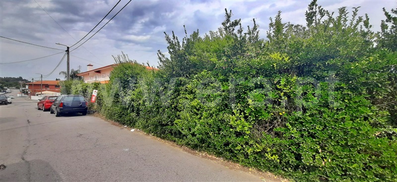 Terreno / Santa Maria da Feira, Nogueira da Regedoura