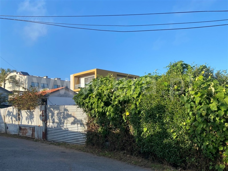 Terreno / Santa Maria da Feira, Nogueira da Regedoura