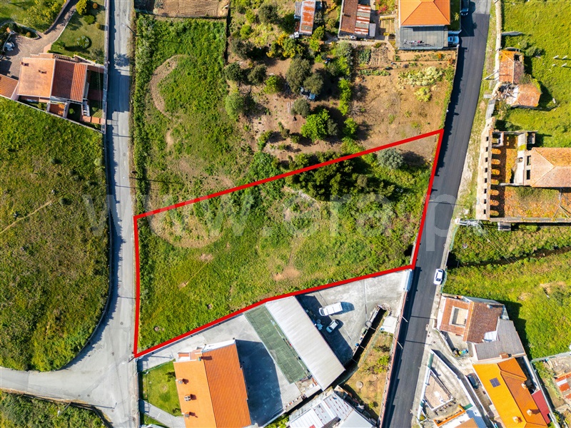 Terreno / Santa Maria da Feira, Nogueira da Regedoura