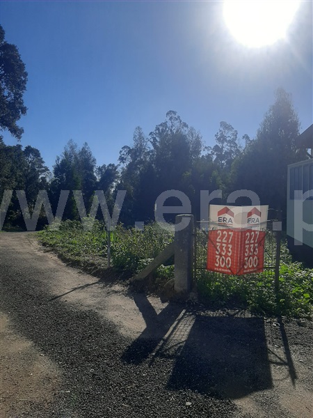 Terreno / Santa Maria da Feira, Nogueira da Regedoura