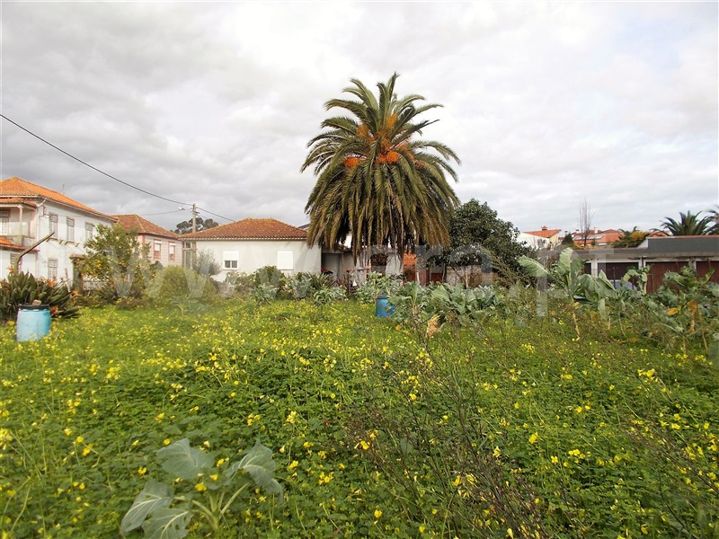 Terreno  Santa Maria da Feira, Paços de Brandão - 703352 - 1