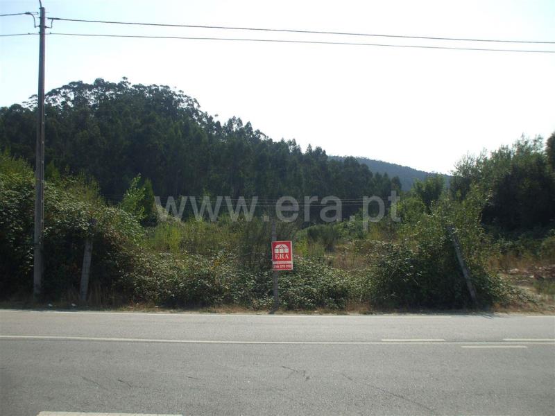 Terreno / Santa Maria da Feira, Romariz /Milheirós de Poiares e Pigeiros
