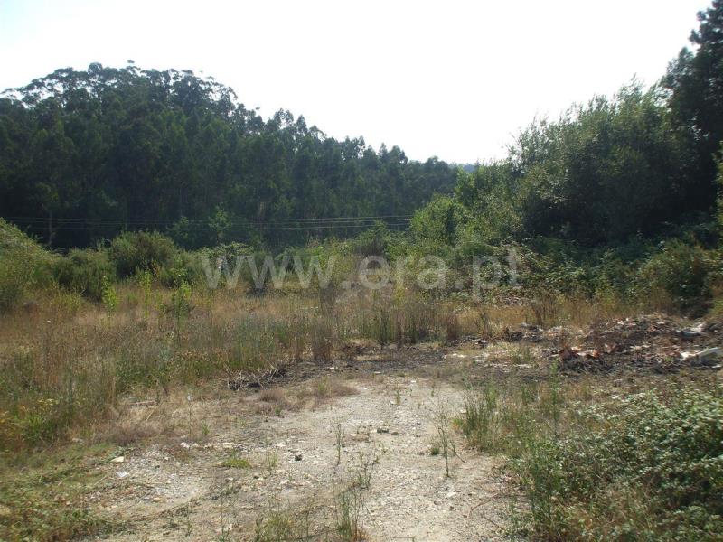 Terreno  Santa Maria da Feira, Romariz /Milheirós de Poiares e Pigeiros - 840869 - 3