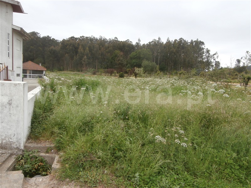 Terreno  Santa Maria da Feira, Romariz /Milheirós de Poiares e Pigeiros - 908120 - 2