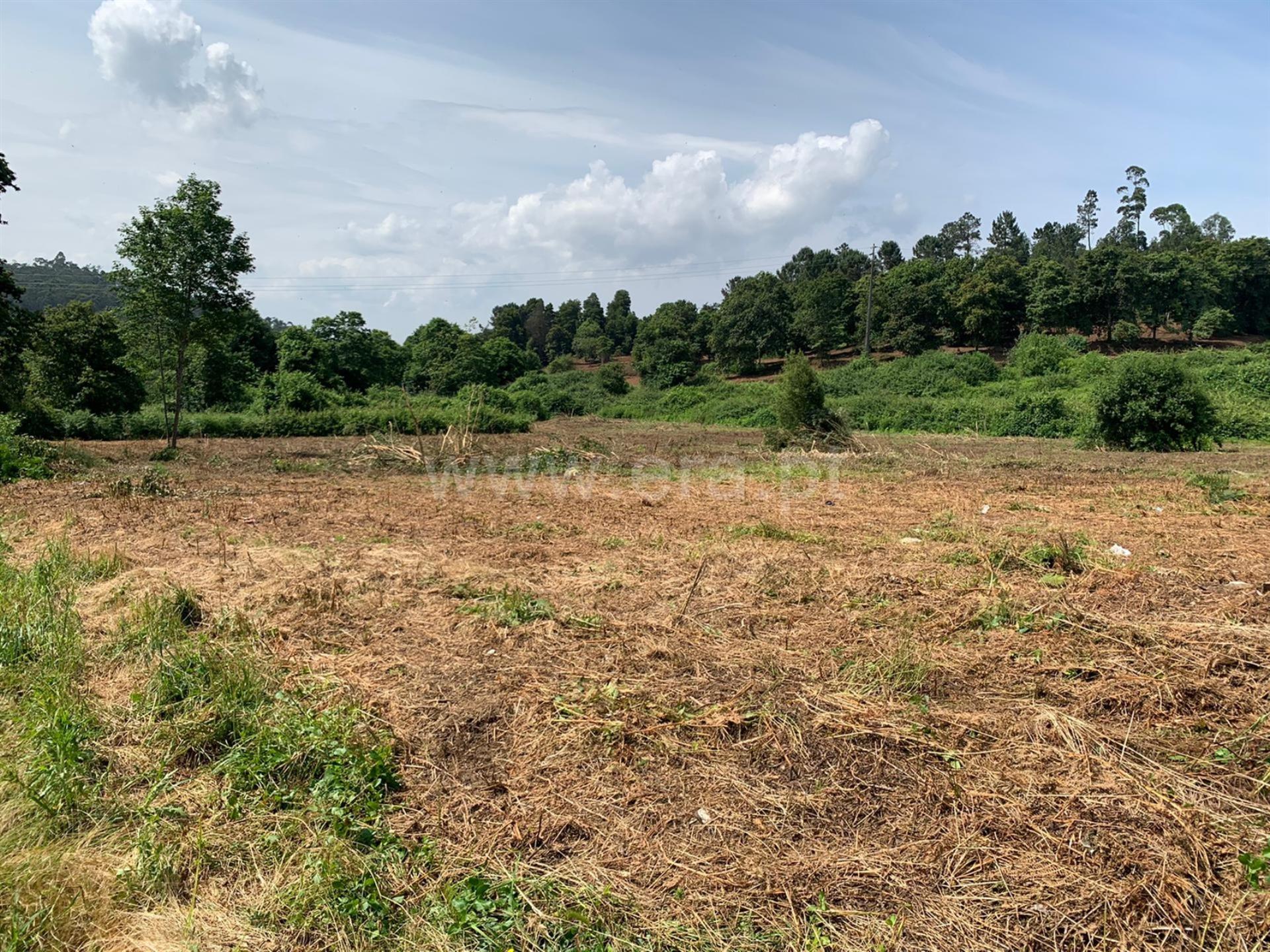 Land for sale in Santa Maria da Feira, Portugal — €80,000