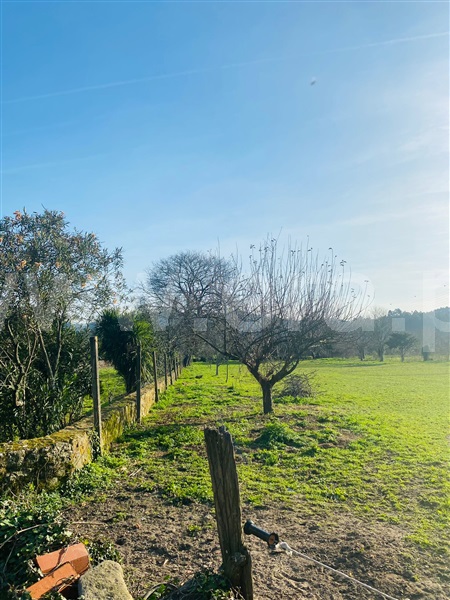 Terreno  Santa Maria da Feira, Romariz - 1382533 - 10