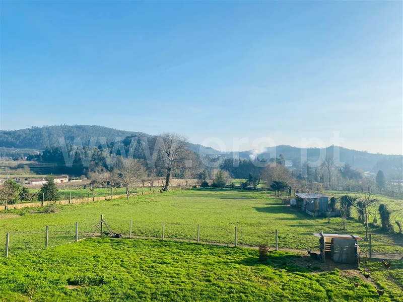Terreno / Santa Maria da Feira, Romariz