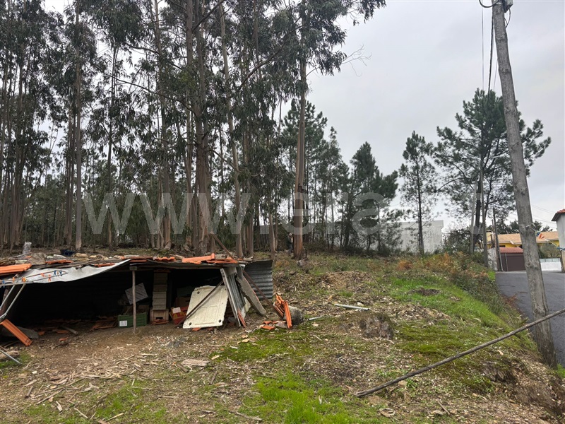Terreno  Santa Maria da Feira, Romariz - 1448777 - 2