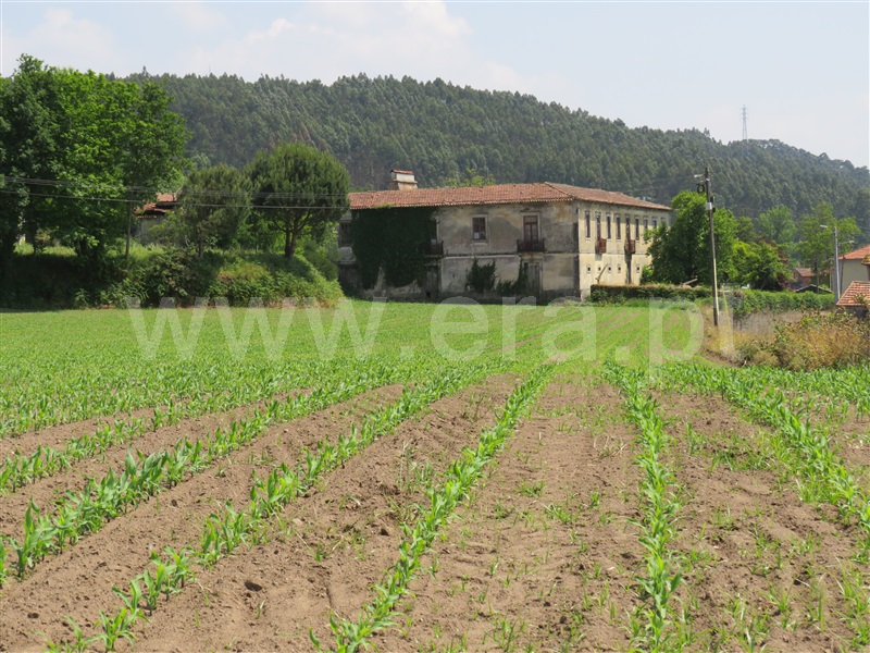 Terreno / Santa Maria da Feira, Romariz
