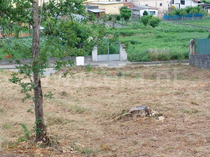 Terreno  Santa Maria da Feira, Sanguedo - 1315648 - 8