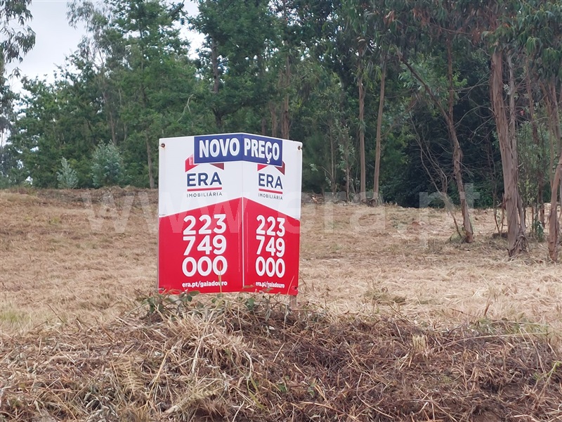 Terreno  Santa Maria da Feira, Sanguedo - 1315648 - 16