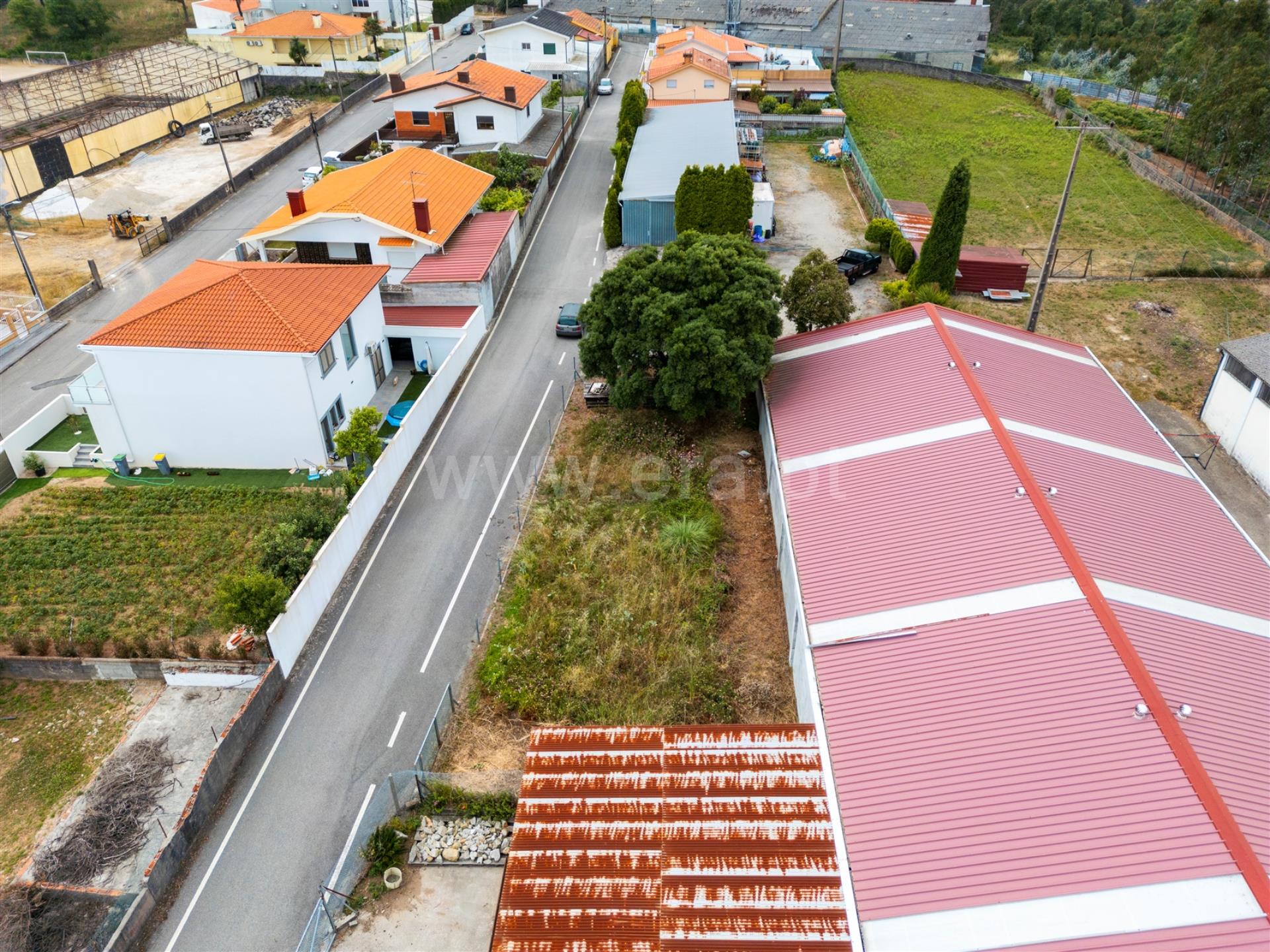 Terreno