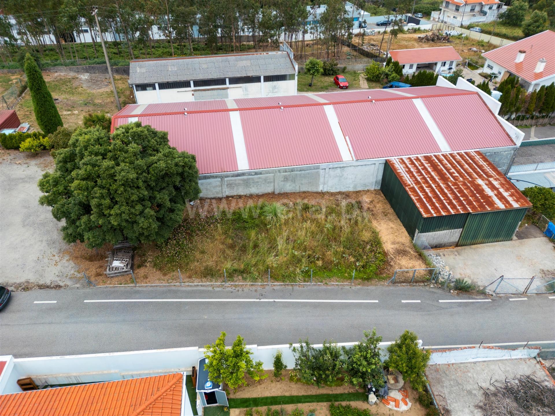 Terreno