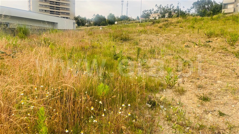 Terreno T0 Santa Maria da Feira, São João de Ver - 1485848 - 8