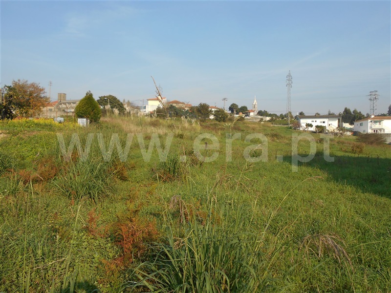 Terreno  Santa Maria da Feira, São Paio de Oleiros - 691992 - 8
