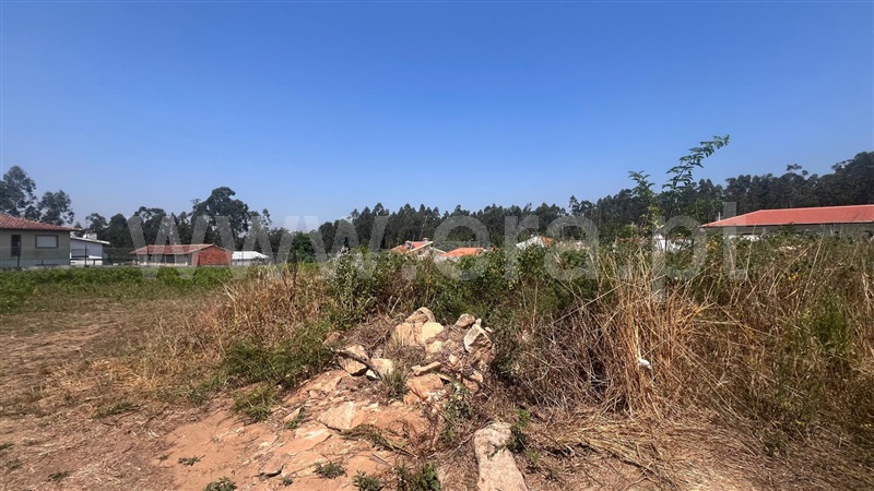 Terreno  Santa Maria da Feira, Souto e Mosteirô - 1497855 - 6