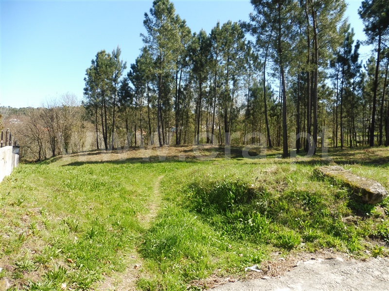 Terreno / Santa Maria da Feira, Vale