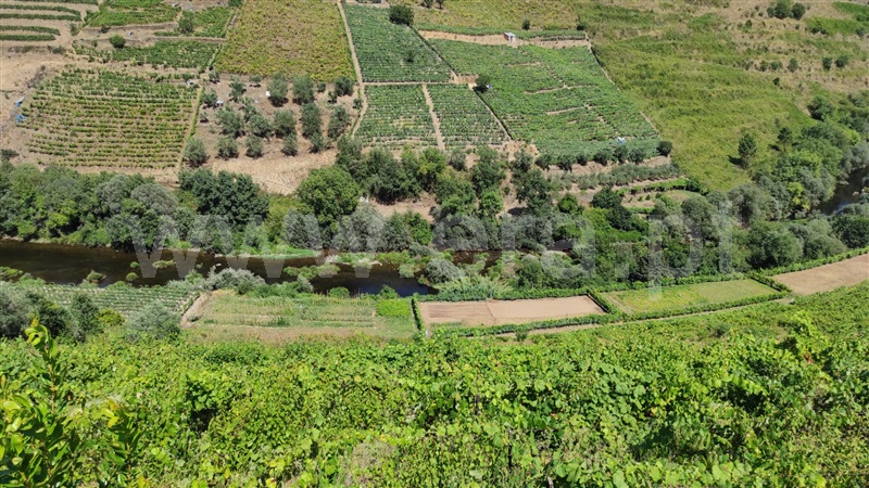 Terreno / Santa Marta de Penaguião, Cumieira