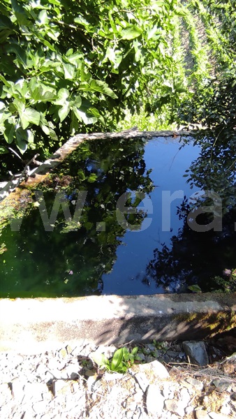 Terreno  com Agrícola Santa Marta de Penaguião, Cumieira - 1208779 - 4