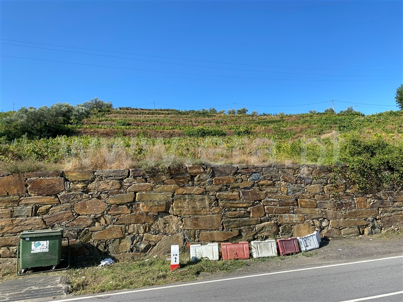 Terreno / Santa Marta de Penaguião, Lobrigos (São Miguel e São João Baptista) e Sanhoane