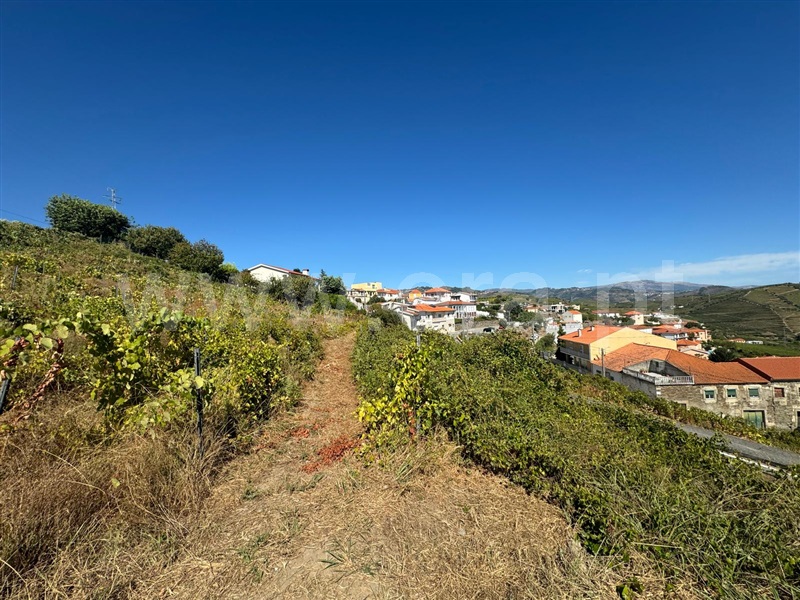 Terreno  Santa Marta de Penaguião, Lobrigos (São Miguel e São João Baptista) e Sanhoane - 1428778 - 6
