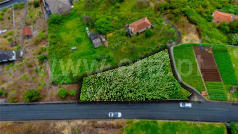 Terreno / Santana, Faial