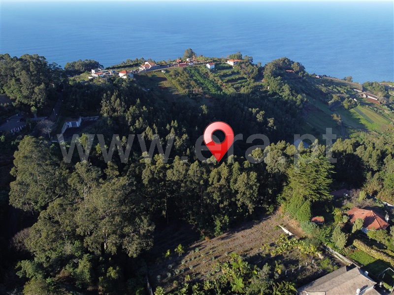 Terreno / Santana, São Jorge